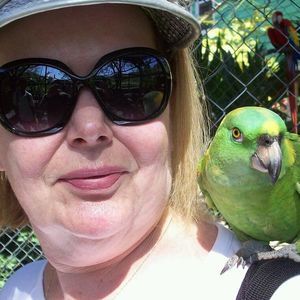 Meet your Posher, Joy